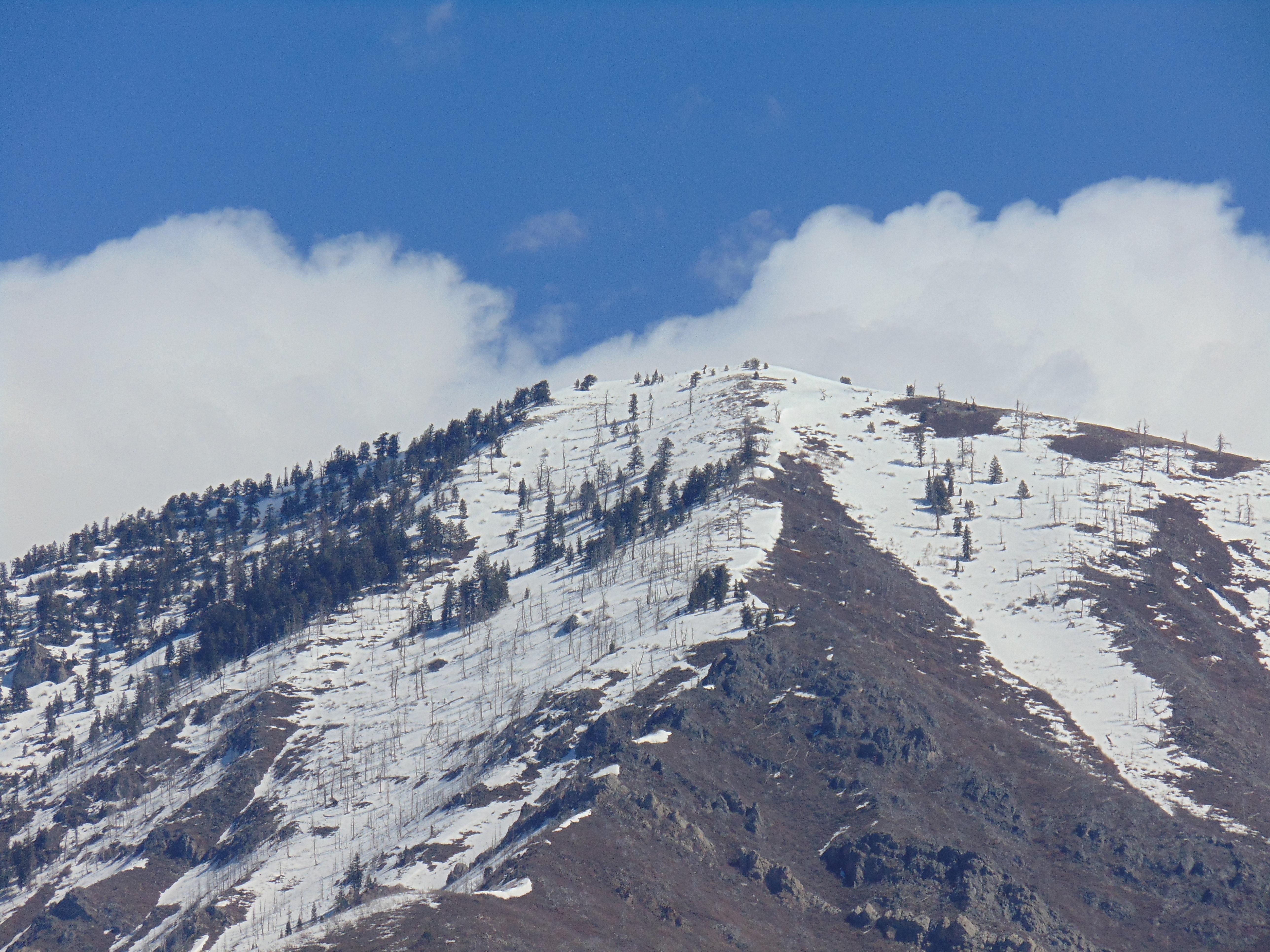 Holiday Inn Express & Suites Springville-South Provo Area By Ihg Eksteriør billede